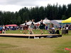 Deborah Kelley > Sophia dancing the Earl at the highland games in Enumclaw