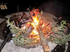 Deborah Kelley > Christmas Tree Burning photo