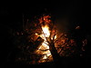 Deborah Kelley > Christmas Tree Burning photo